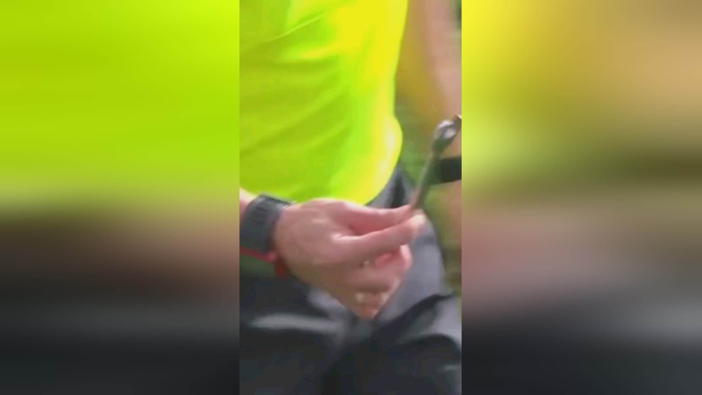亮游客